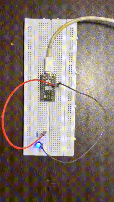Blinky demo